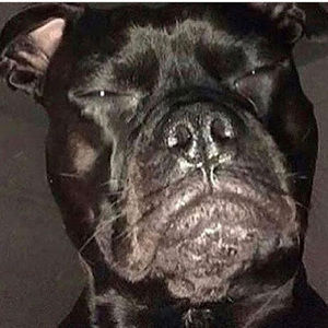 Meet your Posher, Jullian